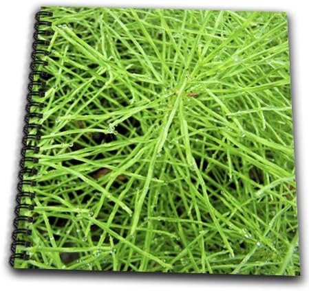 db_16886_1 Krista Funk Creations Leaves and Grass Macros - Bright Green Grass Grows Along the Creek and Collects Dew Drops - Drawing Book - Drawing Book 8 x 8 inch