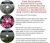 The Guerilla Marketing, Building Effective Lead Capture Web Pages, Sales Letters for Vinyl Siding Businesses