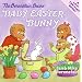 The Berenstain Bears' Baby Easter Bunny