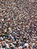 Huge Crowd of Baseball Fans Attending the World Series at the Los Angeles Coliseum Photographic Poster Print, 24x32