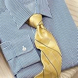 Raised Twill Stripe Dress Shirt