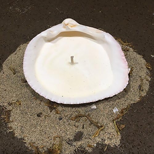 Sun & Sea scented soy candle