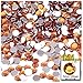 The Crafts Outlet 144-Piece Flat Back Round Rhinestones, 5mm, Orange
