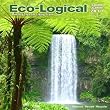 Eco-Logical 16 Month 2010 Wall Calendar: Monthly Tips for Living Green
