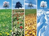 Clementoni 33534.3 - Puzzle 4 Seasons 3000 teilig
