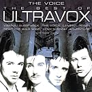 The Voice