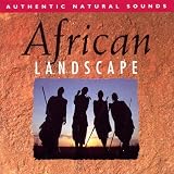African Landscape