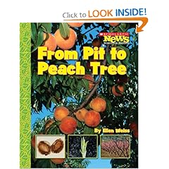 From Pit to Peach Tree (Scholastic News Nonfiction Readers: How Things Grow)