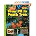 From Pit to Peach Tree (Scholastic News Nonfiction Readers: How Things Grow)