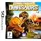 DS Games
