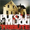 Puddle of Mudd Tribute