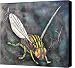 A Fly Canvas Print - Canvas Art