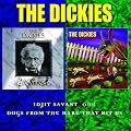 Idjit Savant/Dogs from the Hare That Bit Us