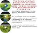 The Quick and Easy Promotion, Success Principles and Inner Game for Bed Canopies Web Businesses 3 CD Power Pack