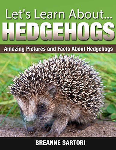 Hedgehogs: Amazing Pictures and Facts About Hedgehogs (Let's Learn About)