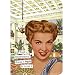 Passport Holder - 
