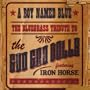 A Boy Named Blue: The Bluegrass Tribute to Goo Goo Dolls