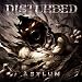 image and picture of Asylum (Limited Edition)(CD/DVD)