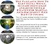 Search : The Fantastic How To Earn Extra Money, Sucess Principles and Accounting & Finance for Martial Arts Equipment Web Biz 3 CD Course