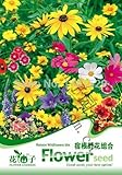 1オリジナルのパック200pcsの新芽ワイルドフラワーミックスカラーの花の種子を（最小注文$ 5ミックス）