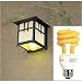 Kitchen & Housewares : Anti CF Lightbulb