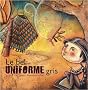 Le bel uniforme gris