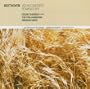 Violin Concerto / Romance in F