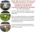 Book The Best How To Earn Extra Money, Inner Game and Sales Models for Fly Fishing Rods Web Biz 3 CD Course