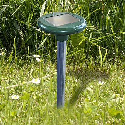 Solar Maulwurfschreck Wühlmausschreck Ökologischer Maulwurfvertreiber Wühlmausstopp Maulwurf Abwehr