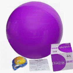 65cm Exercise Ball