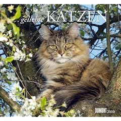 ... geliebte Katzen 2010