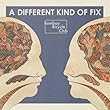 A Different Kind Of Fix by Bombay Bicycle Club (2012-01-17)【並行輸入品】