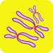 Cell Division