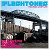 Image of album by Fleshtones