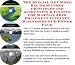 Search : The Special Get More Biz, Godfather Principles and Accounting & Finance for Martial Arts Equipment Internet Businesses 3 CD Power Pack