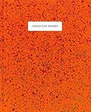 Condition report : new photographic art from the Czech Republic