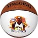 Spalding Phoenix Suns Shaquille O'Neal Mini Basketball