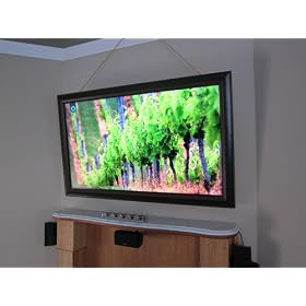 Samsung 3D LED HDTV (Silver)