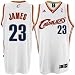 LeBron James #23 Cleveland Cavaliers Swingman NBA Jersey White (L)