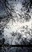 Fog & Car (Paperback)