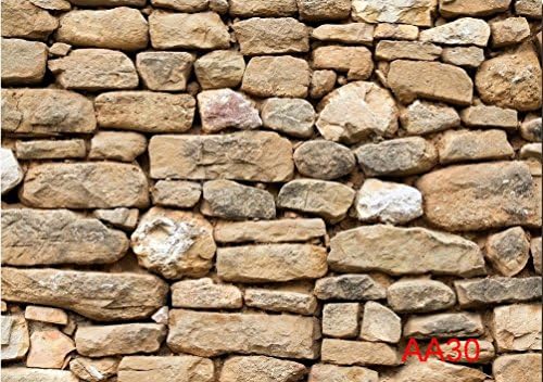 LB 7x5ft Stone Wall Vinyl Photography Backdrop Customized Photo Background Studio Prop AA30