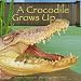 Books : A Crocodile Grows Up (Wild Animals (Picture Window Paperback))