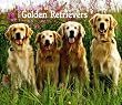 Golden Retrievers, For the Love of 2010 Deluxe Wall (Multilingual Edition) Golden Retrievers, For the Love of 2010 Deluxe Wall (Multilingual Edition)