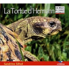 La tortue d'Hermann