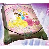 Disney Princess Full Blanket ~ Cinderella, Sleeping Beauty & Belle