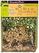 Frontier Soups Homemade In Minutes&acirc;�&cent; Oregon Lakes Wild Rice & Mushroom Soup, 3.0-Ounce Bags (Pack of 4)