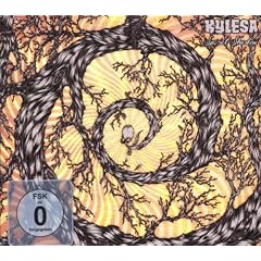 Spiral Shadow (Inclus DVD)