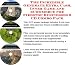 The Incredible Generate Extra Cash, Inner Game and eCommerce for Firestop Businesses 3 CD Combo Pack