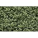 Woodland Scenics Light Green Underbrush Clump-Foliage (32 oz. Shaker)