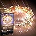 Qualizzi Fairy Lights 33 Foot / 100 Leds Warm White Color. Amazingly Bright - Ultra-Thin Flexible Easy To Wrap Copper Wire. Fairy Light Effect. Travel Plug